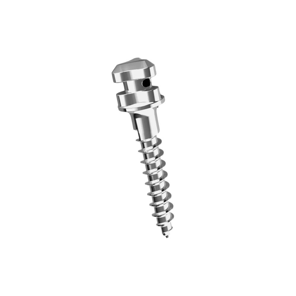 Hexagon mini screw diameter 2.0L 10